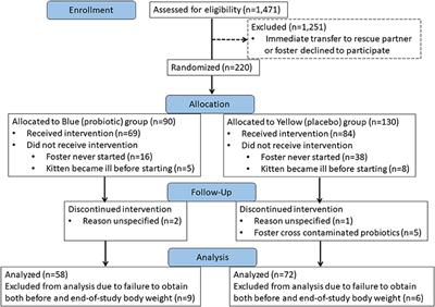 Randomized placebo-controlled trial of feline-origin Enterococcus hirae probiotic effects on preventative health and fecal microbiota composition of fostered shelter kittens